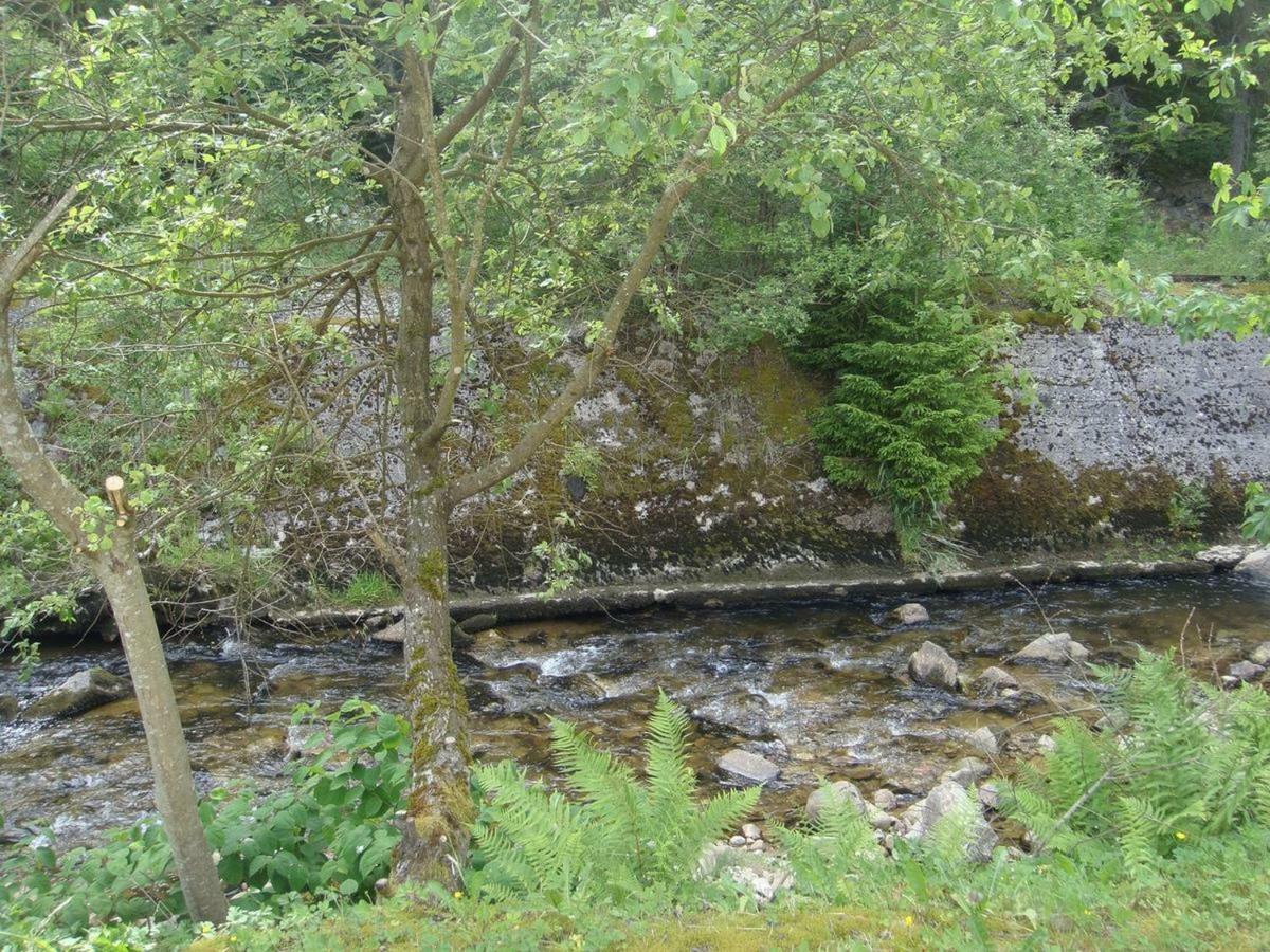 L'Idéal Gérardmer Exterior foto